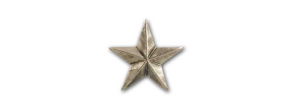 Star Medallion (pewter)