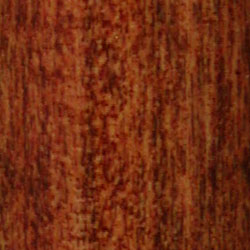 Red Chestnut