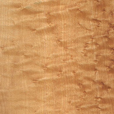 Birdseye Maple