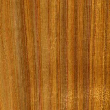 Canarywood