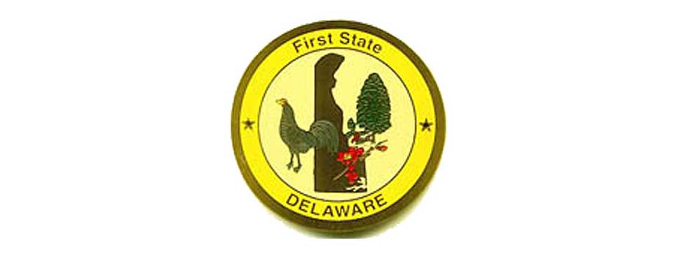 Delaware Medallion